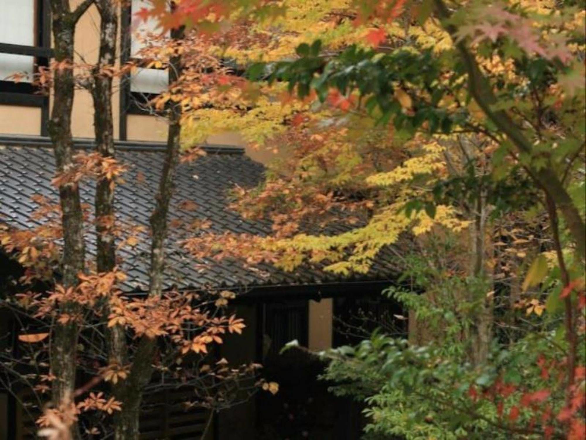 Ryokan Wakaba Minamioguni Buitenkant foto